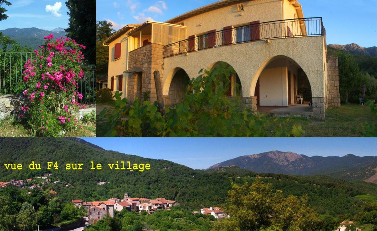 95m2 au calme à 25mn AJACCIO, plages, linge inclus Ucciani Esterno foto