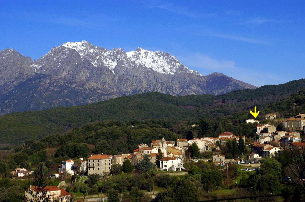 95m2 au calme à 25mn AJACCIO, plages, linge inclus Ucciani Esterno foto