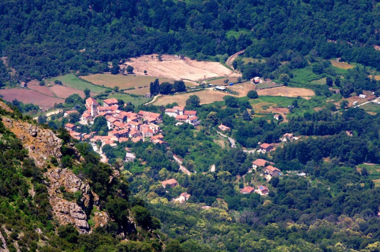 95m2 au calme à 25mn AJACCIO, plages, linge inclus Ucciani Esterno foto