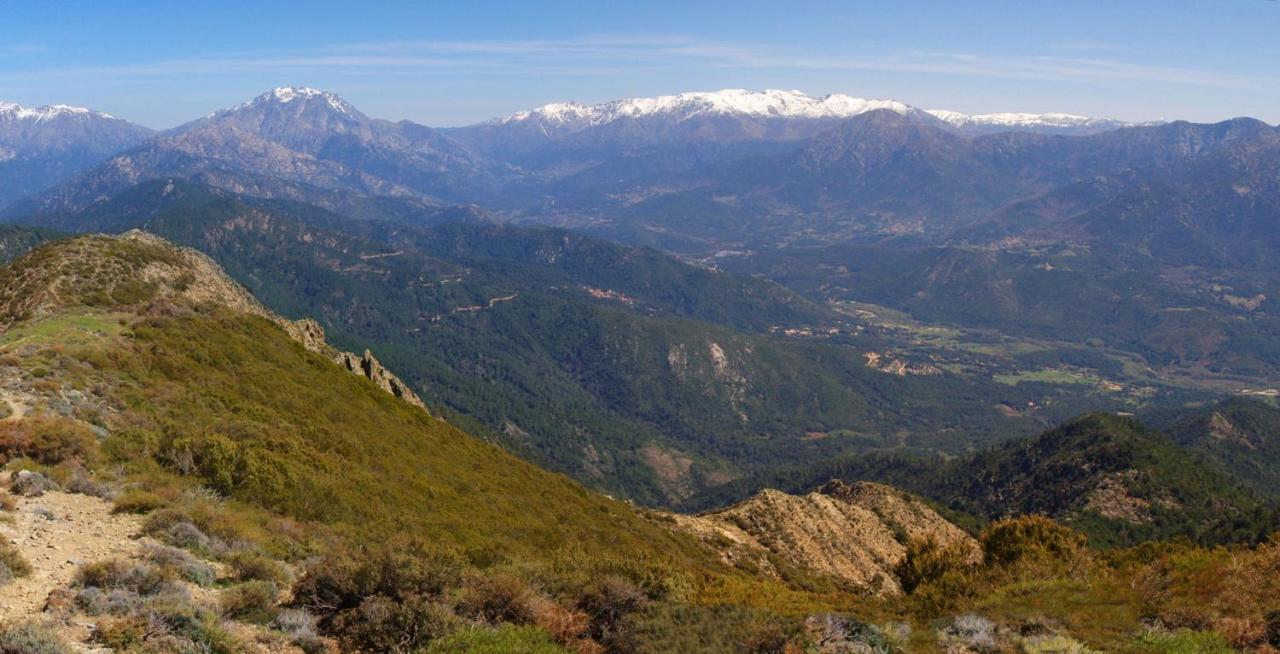 95m2 au calme à 25mn AJACCIO, plages, linge inclus Ucciani Esterno foto