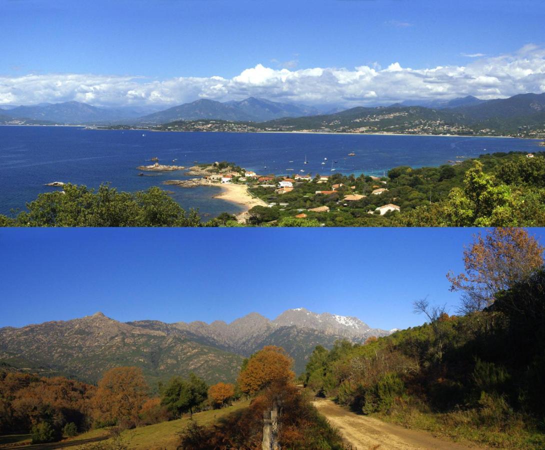95m2 au calme à 25mn AJACCIO, plages, linge inclus Ucciani Esterno foto