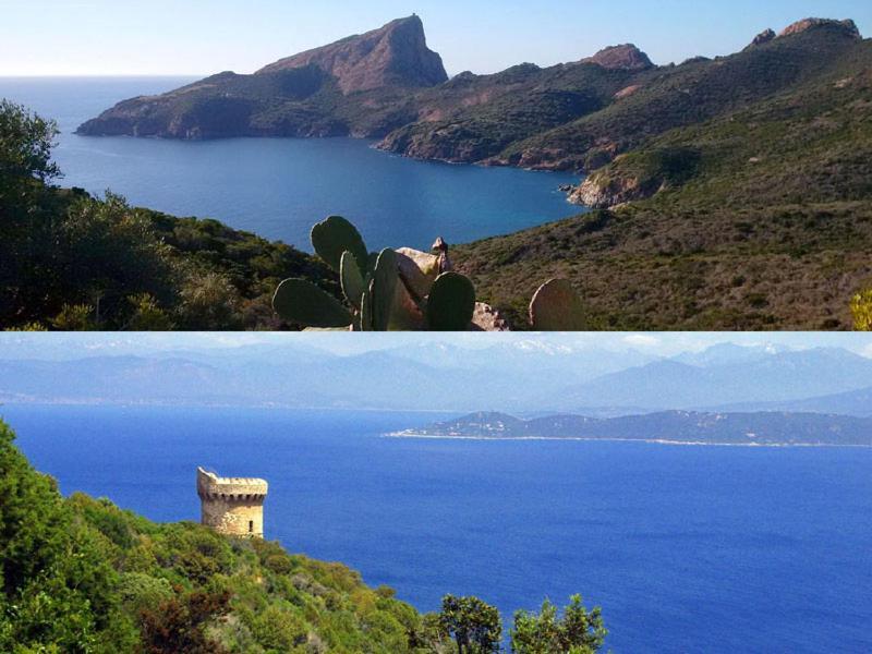 95m2 au calme à 25mn AJACCIO, plages, linge inclus Ucciani Esterno foto